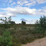 De Eekhoorn *
