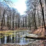 De Eekhoorn * Putten