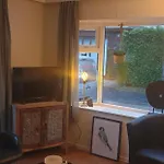 De Eekhoorn * Putten