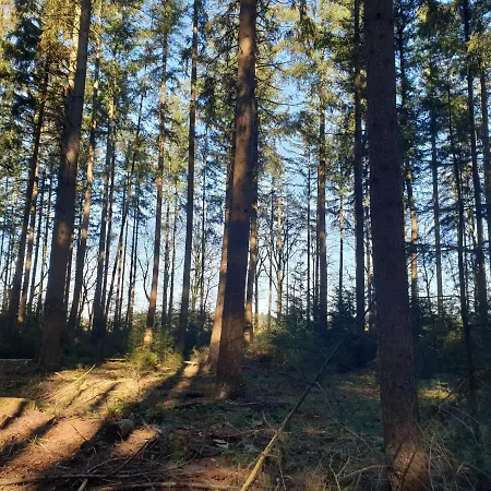 De Eekhoorn Chalet Putten