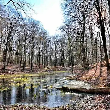 De Eekhoorn * Putten