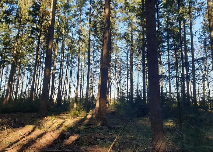 De Eekhoorn Domek alpejski Putten