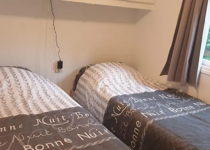 De Eekhoorn * Putten