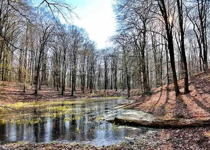 De Eekhoorn * Putten